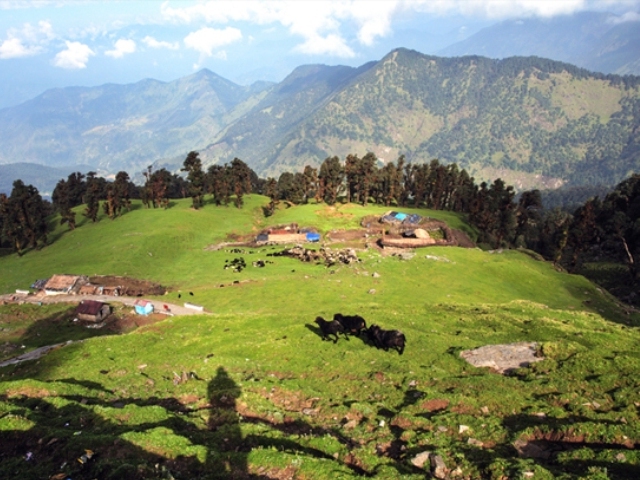 Chopta