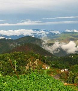 Almora Hotels