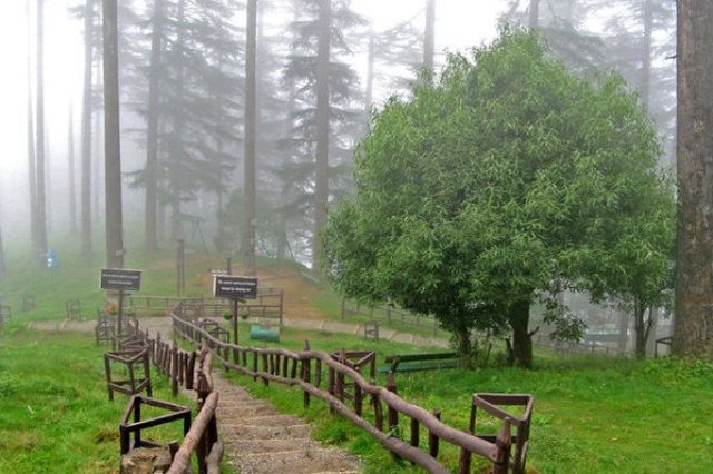 Dhanaulti View